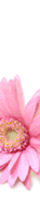 im Ebayshop alle BESTWAY >