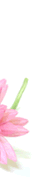 im Ebayshop alle BESTWAY >