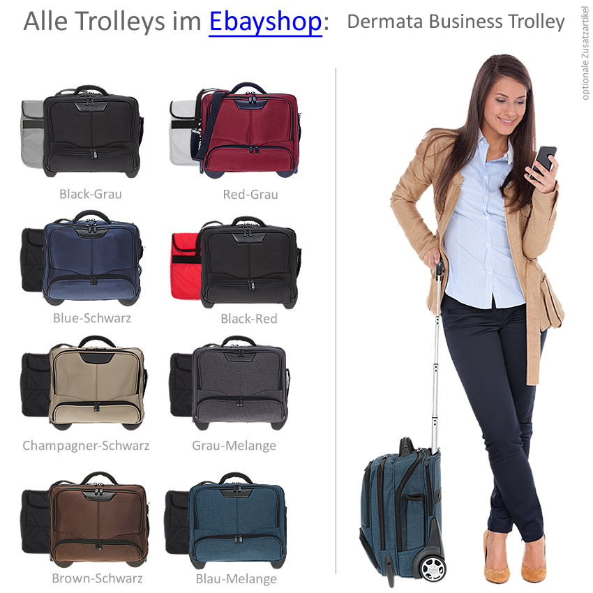 Trolley Business Dermata XL Notebooktrolley Aktentrolley Trolly Bag 3456 CV Grau